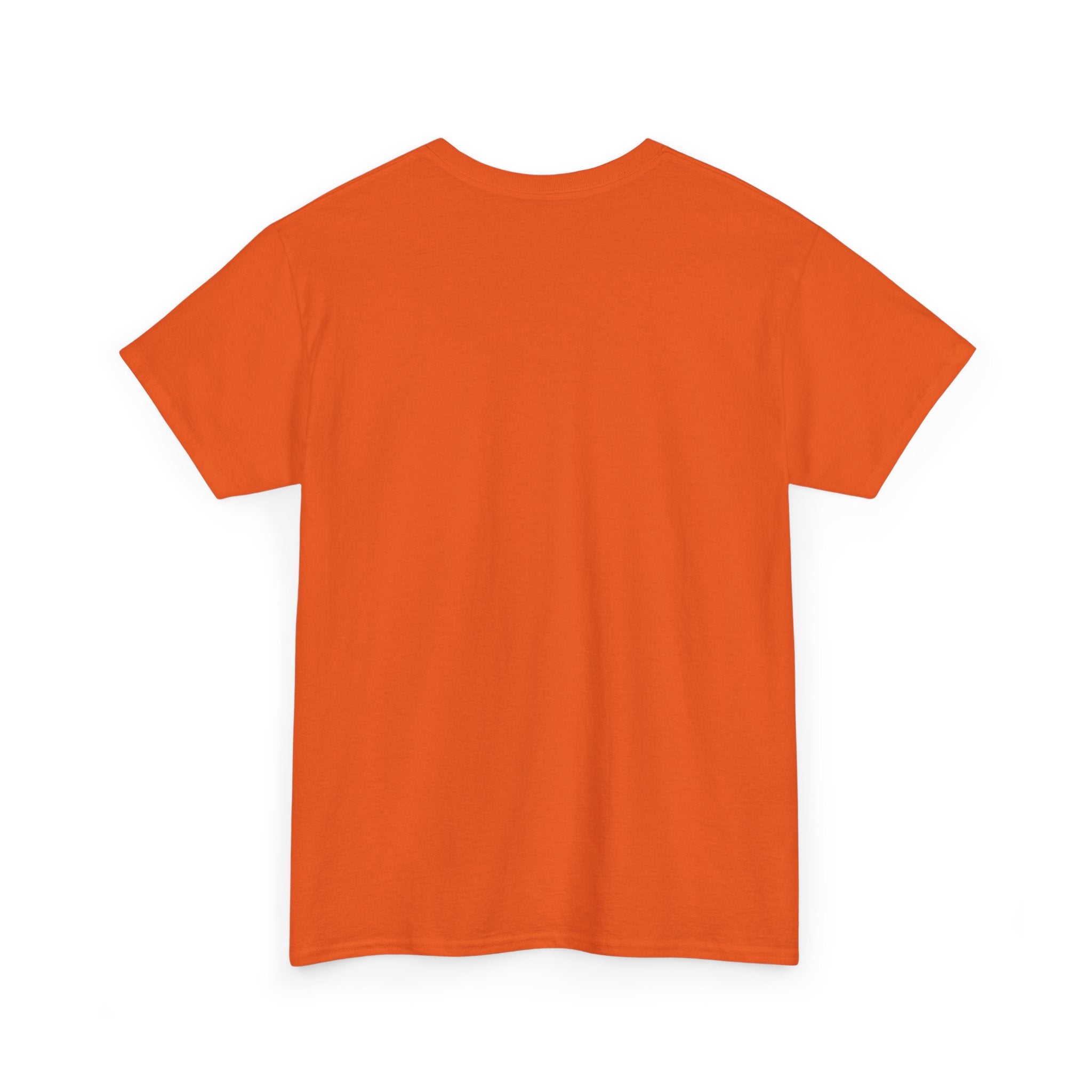 Game Day Cheer T-Shirt — Pink & Blue Pom Pom Cheerleading Tee