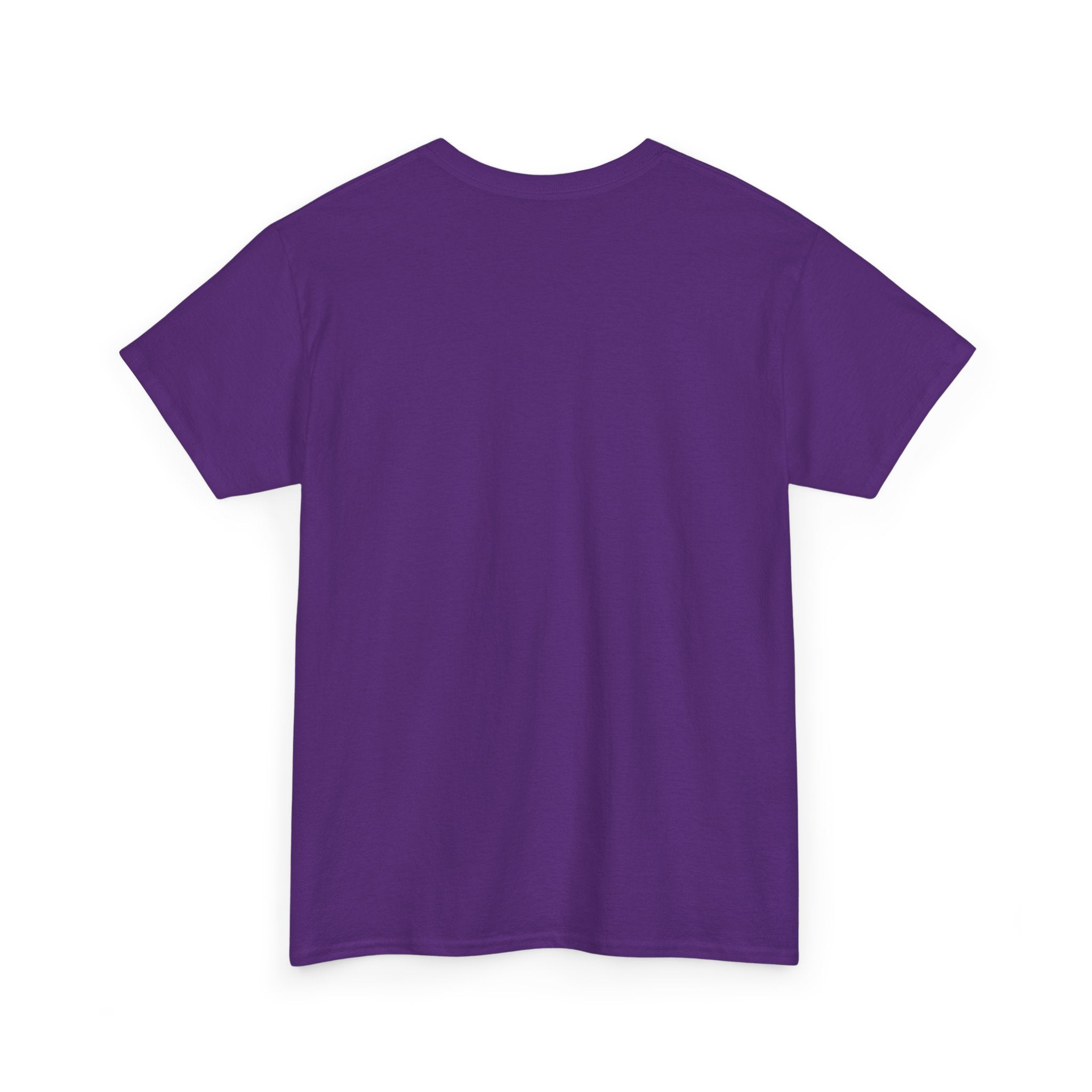 Game Day Cheer T-Shirt — Pink & Blue Pom Pom Cheerleading Tee