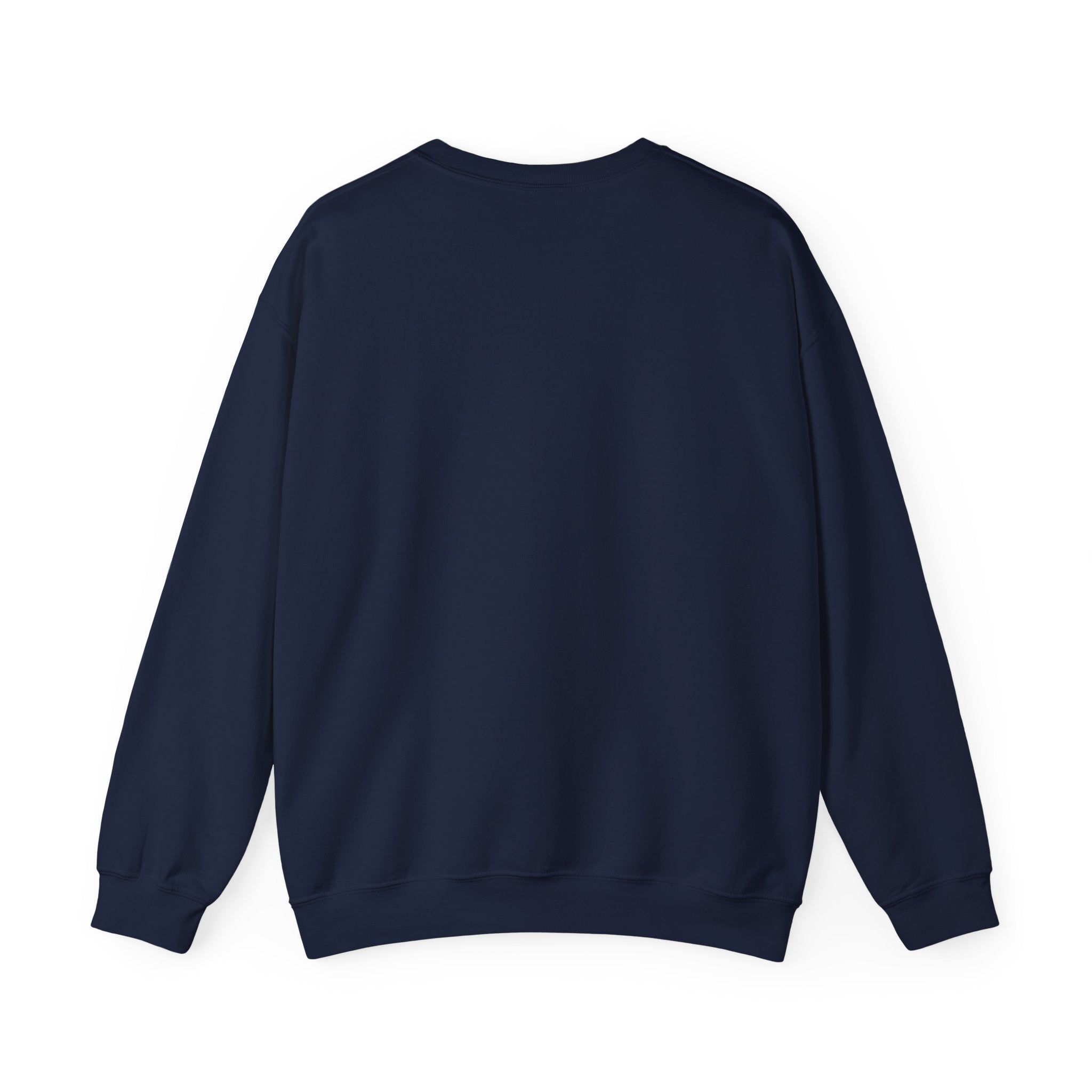 Game Day Cheerleader Sweatshirt — Pink & Blue Donut Bow Crewneck